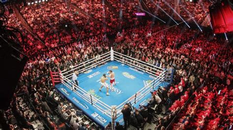 Misfits boxing card live stream, TV channel, start time, undercard .